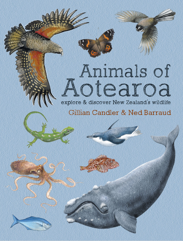 Animals of Aotearoa - Potton & Burton