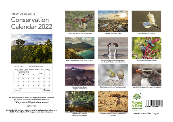 2022 New Zealand Conservation Calendar Potton Burton