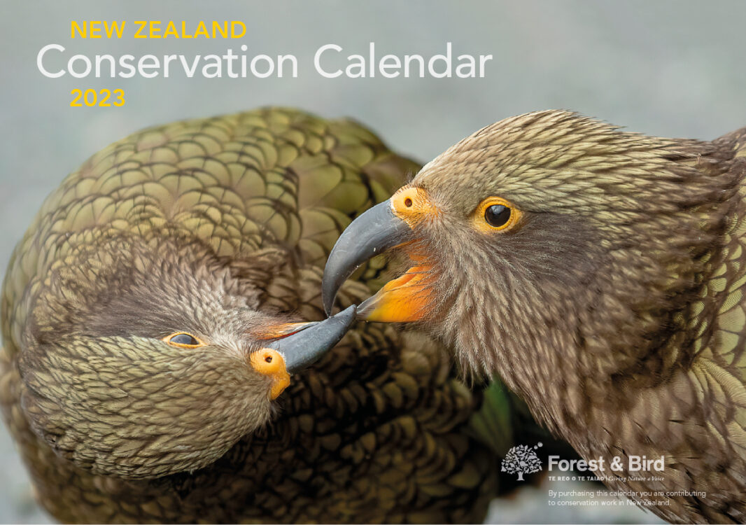 2023 New Zealand Conservation Calendar