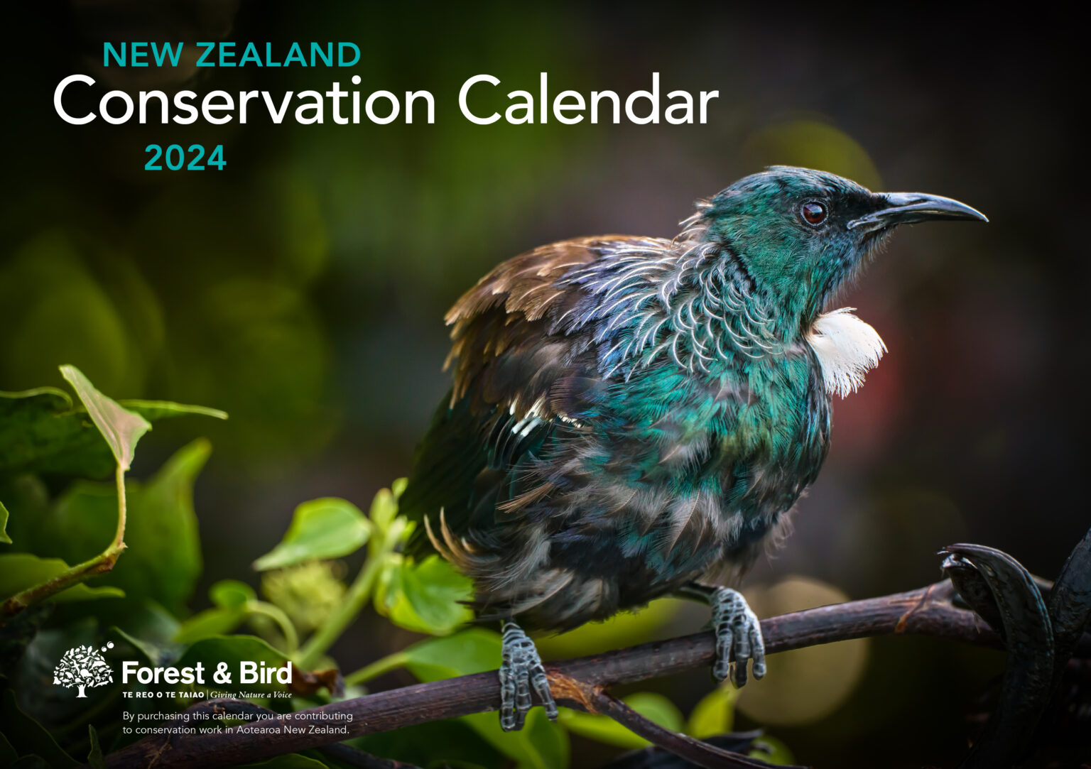 2024-new-zealand-conservation-calendar-potton-burton
