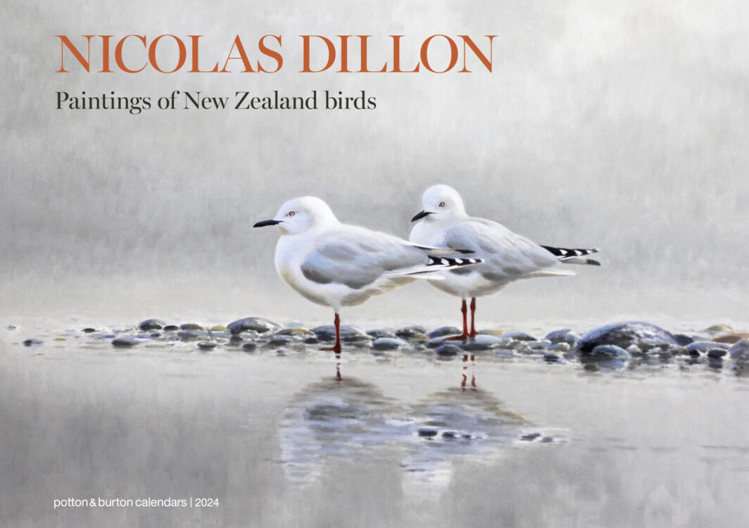 2024 Nicolas Dillon New Zealand Bird Paintings Calendar