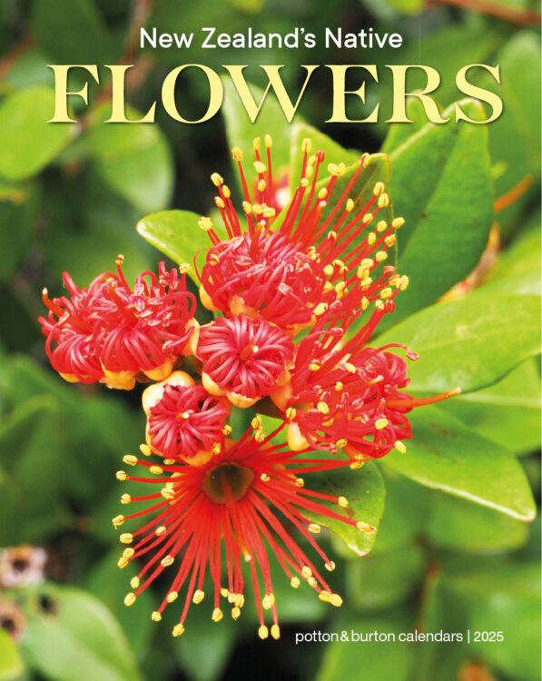 2025 New Zealand’s Native Flowers Calendar
