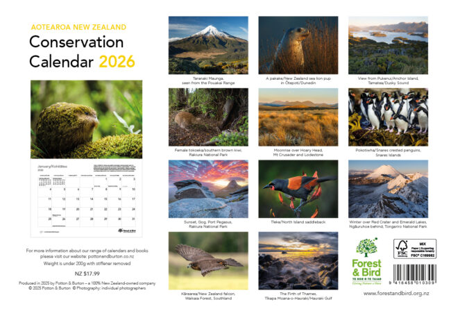 2026 New Zealand Conservation Calendar - Image 2