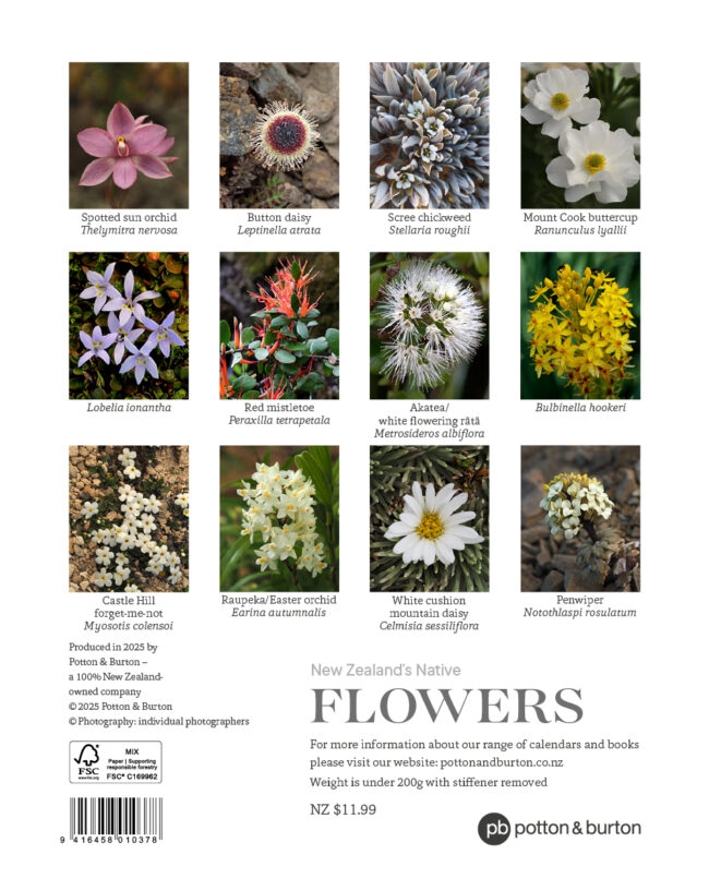 2026 New Zealand's Native Flowers Calendar - Image 2