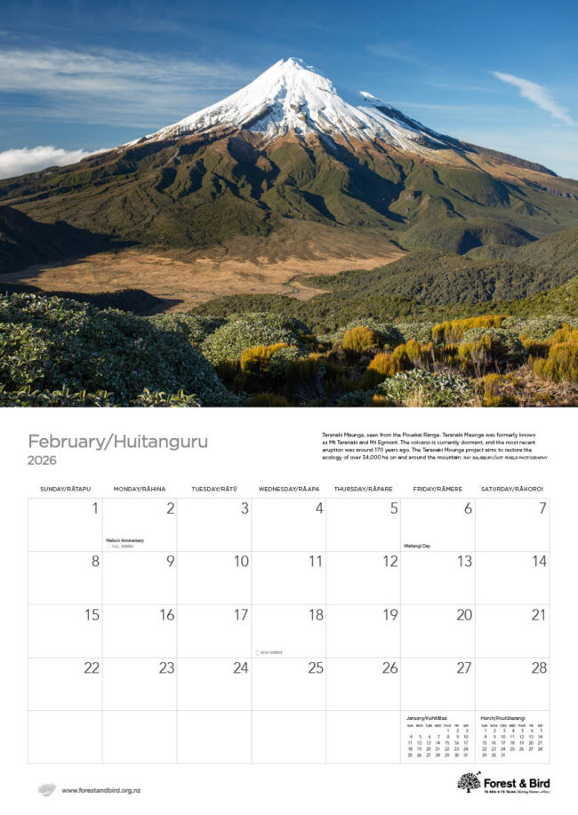 2026 New Zealand Conservation Calendar - Image 3