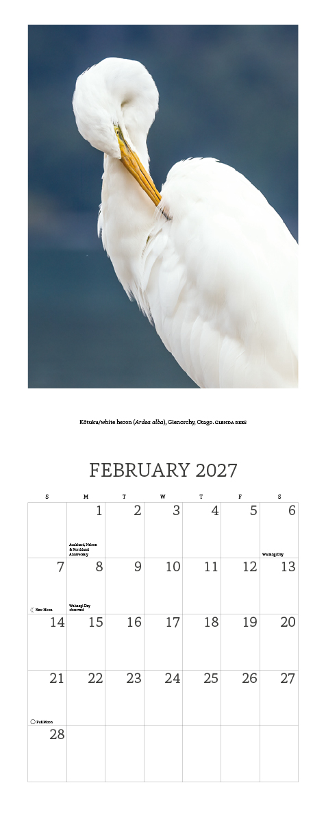 2027 New Zealand's Native Birds Calendar - Image 3
