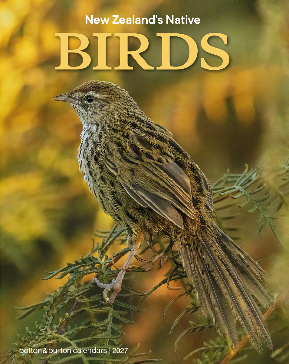 2027 New Zealand's Native Birds Calendar
