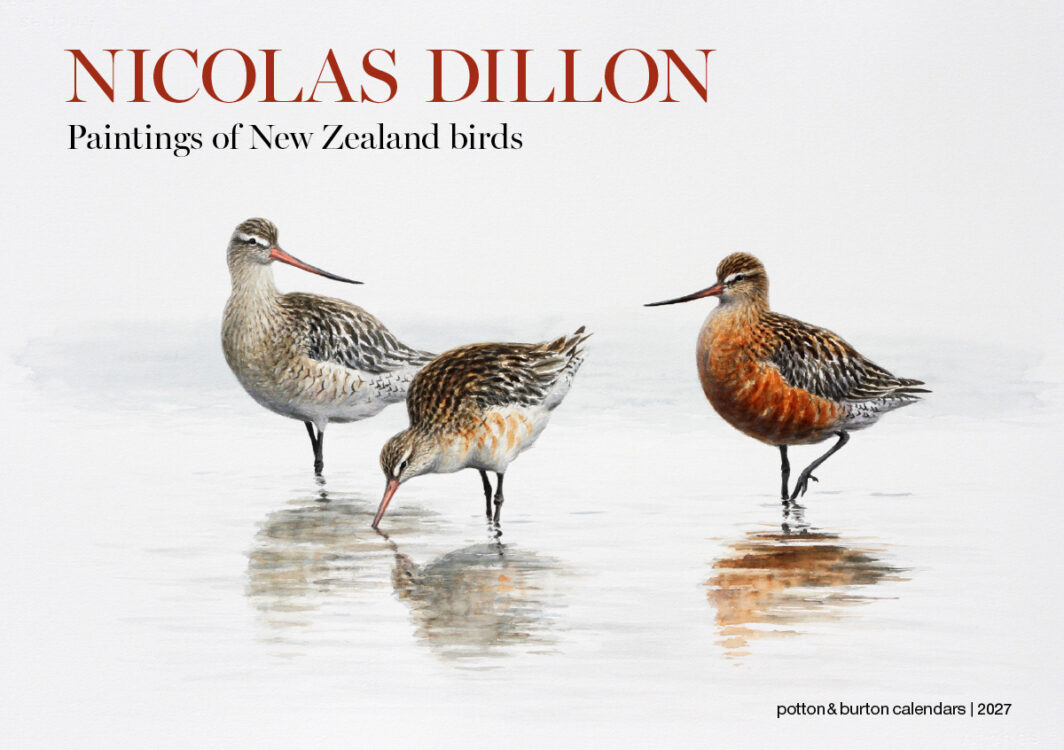 2027 Nicolas Dillon Paintings of New Zealand Birds Calendar